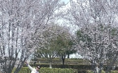 旅行者的J桶进雷电将军的J